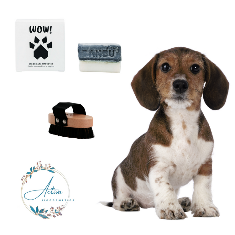 Regalos | Accesorios | Mascotas