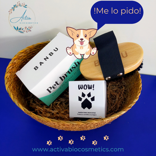 Cesta completa para Mascotas